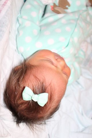photo IMG_3473.jpg