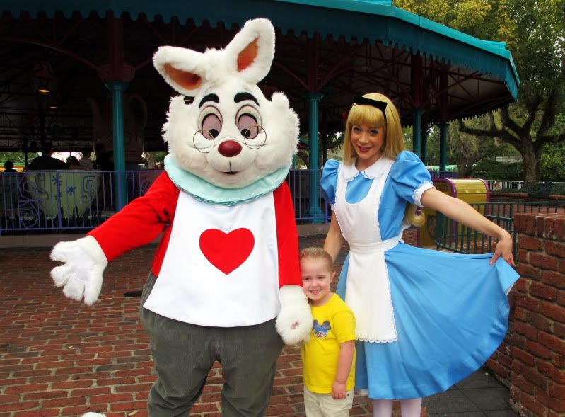 Sarah_Alice_WhiteRabbit.jpg