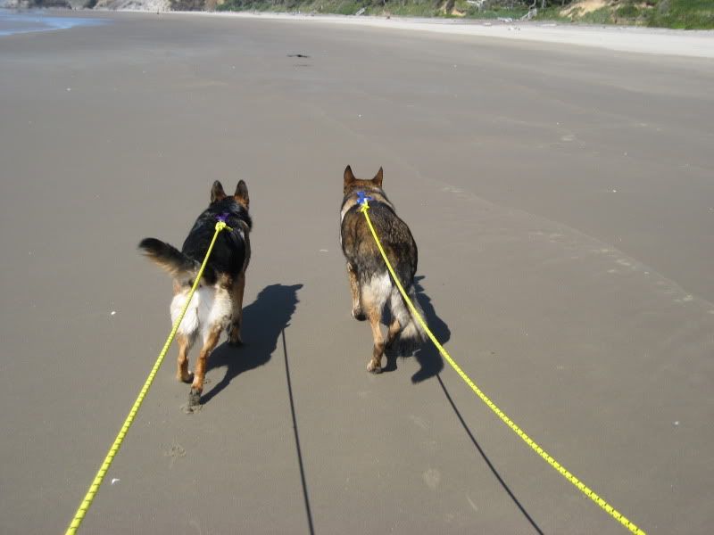 2010BeachtripMaxDani011.jpg
