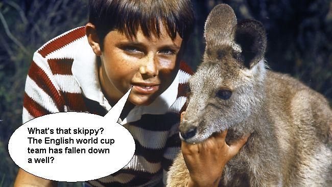 264663-skippy_zpsblydoxor.jpg