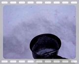 Diggingwithcup.flv video by sufguy1