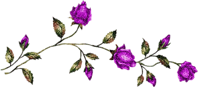 Purple Roses Pictures, Images and Photos