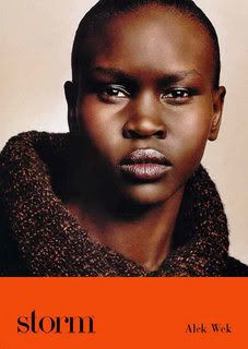 alek wek handbags