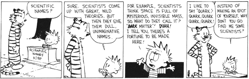 Calvin_and20Hobbes_Dark_Matter.gif