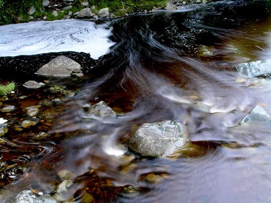 Creek-at-Lake-Matheson.jpg