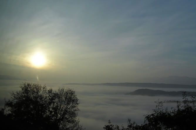 Vikosvalley-mist-near-Monodendri.jpg