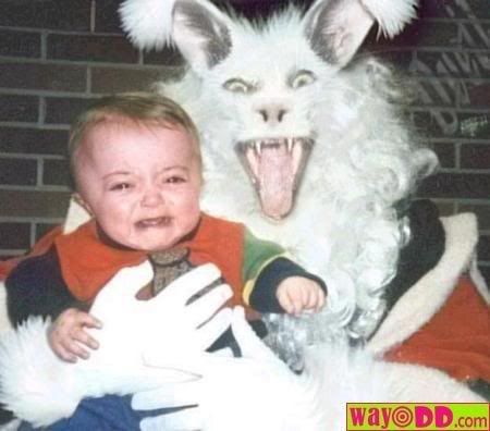 easter bunny pics funny. easter bunny pictures funny.