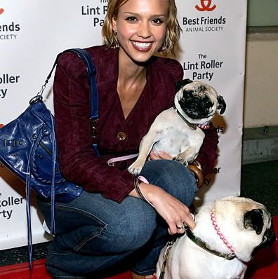 Jessica Alba with her two pug puppies.