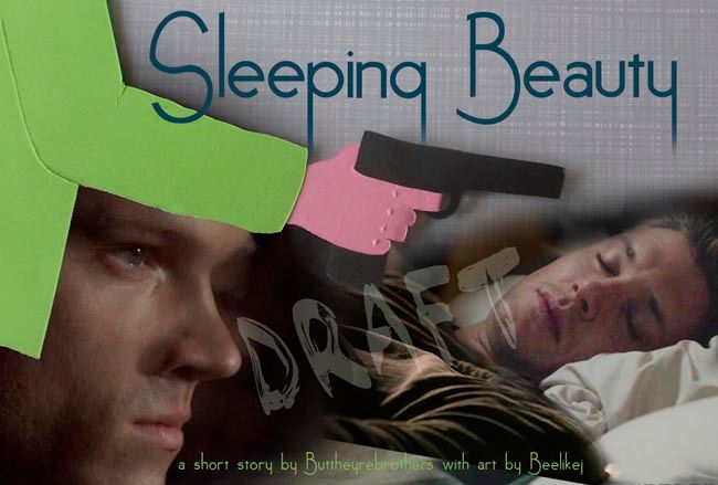 photo set up Banner Sleeping Beauty_zps0wexyg8q.jpg
