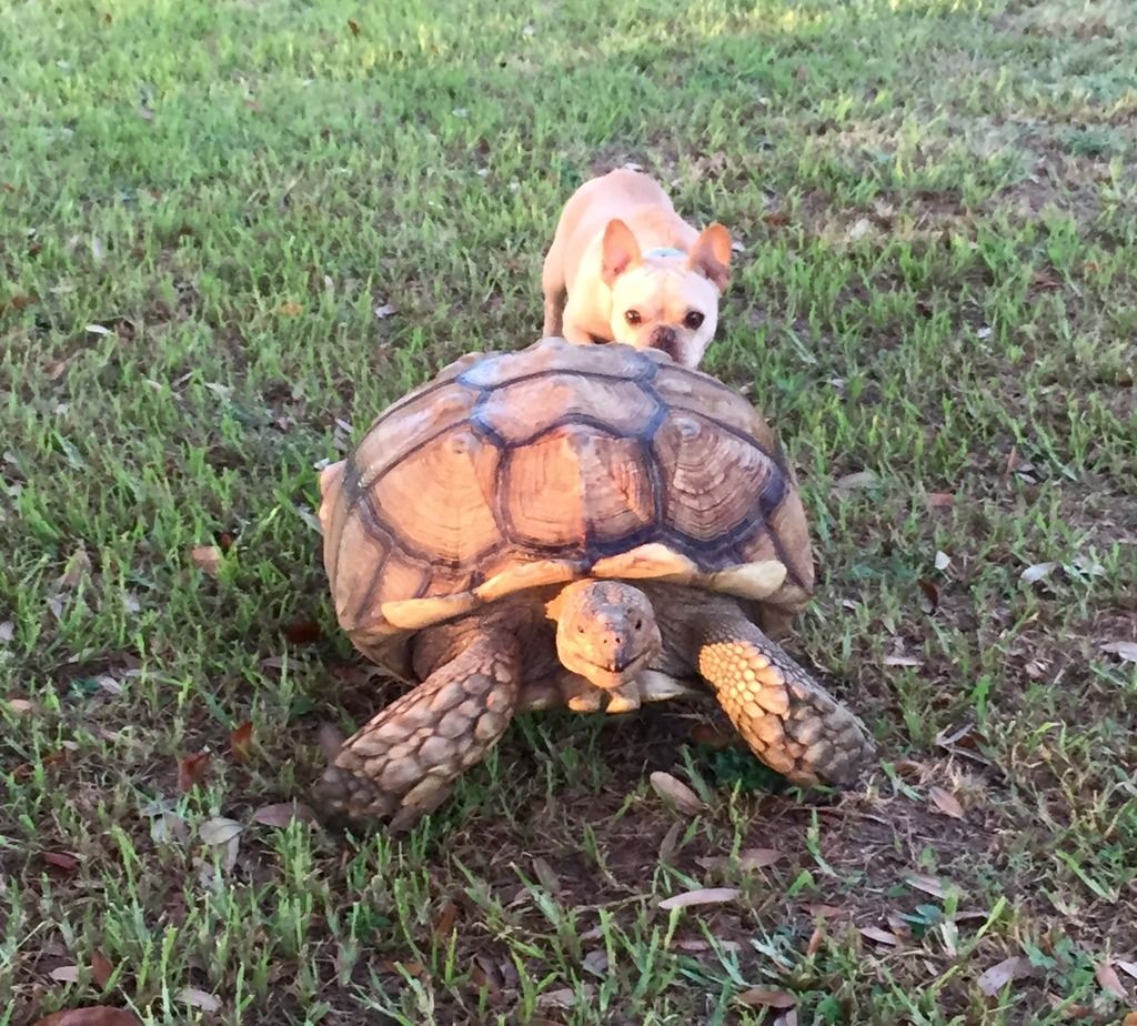 1A2403A7-74FB-4A6D-A97E-9E755011C30C_zps