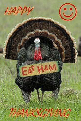 ThanksgivingTurkey8.jpg