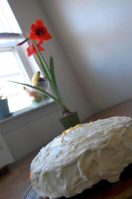 carrot cake