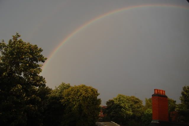 rooftop rainbow