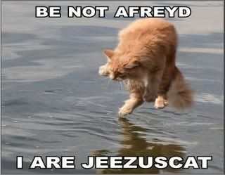 jesuscatwalkwater.jpg