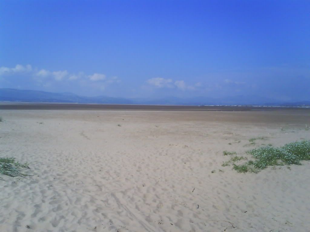 DSC00655.jpg