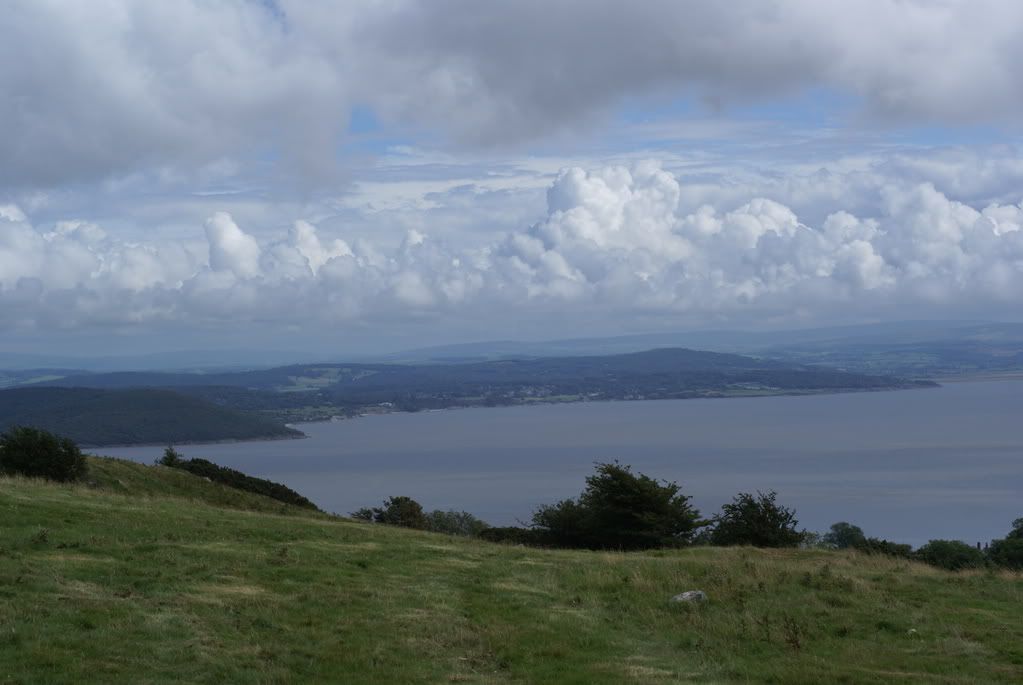DSC08837.jpg