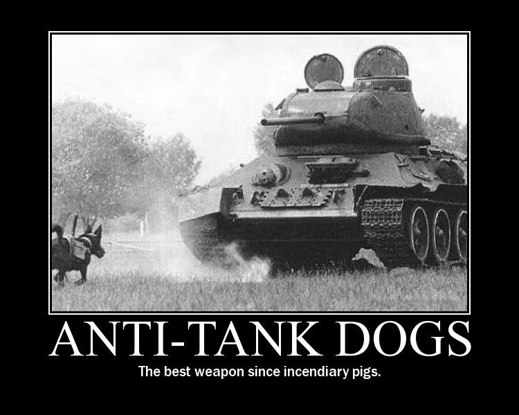 tankdogs.jpg