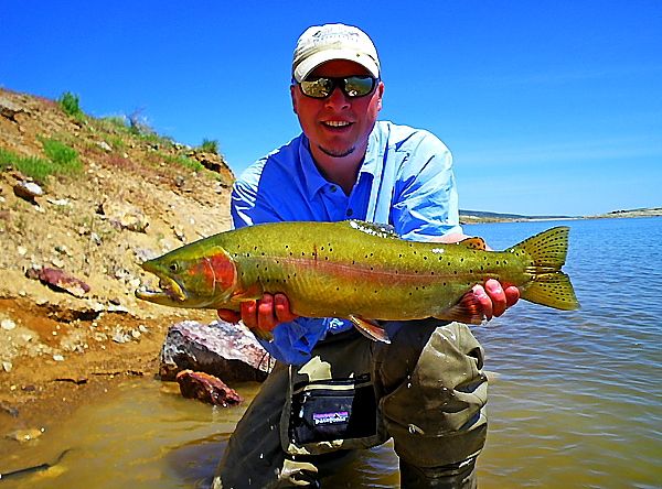 [Image: SouthForkReserviorNV.jpg]