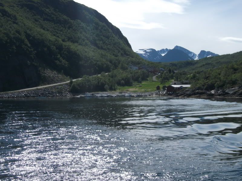 dscf0175.jpg
