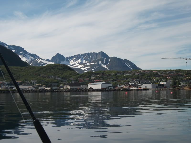 dscf0176.jpg