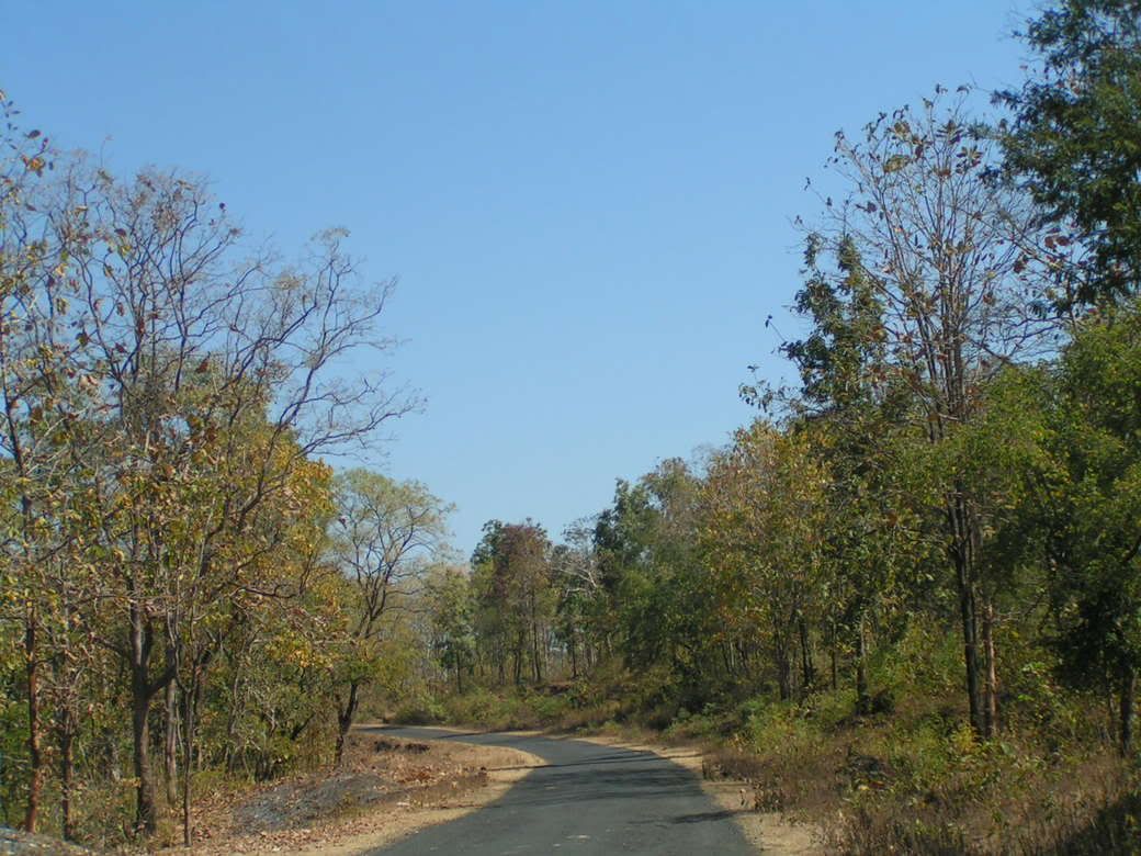 Road side view