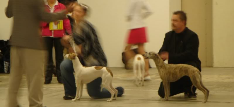 DSC04645.jpg