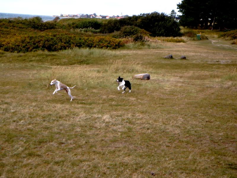 DSC01895.jpg