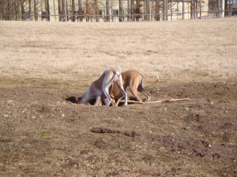 DSC04315.jpg