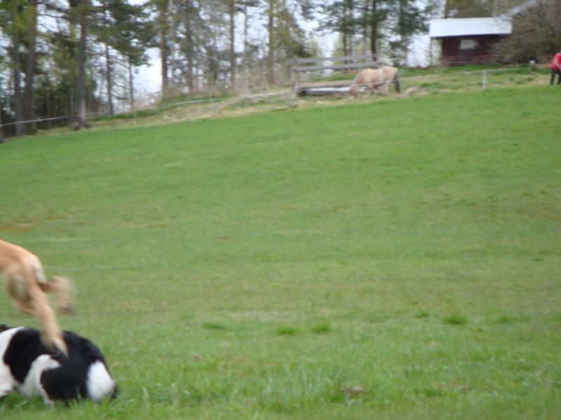 DSC05630.jpg