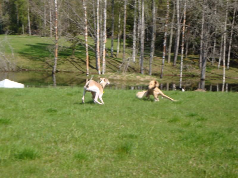 DSC05885.jpg