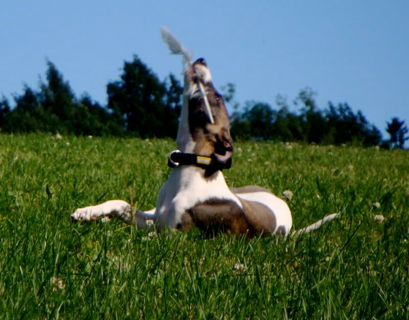 DSC08283.jpg