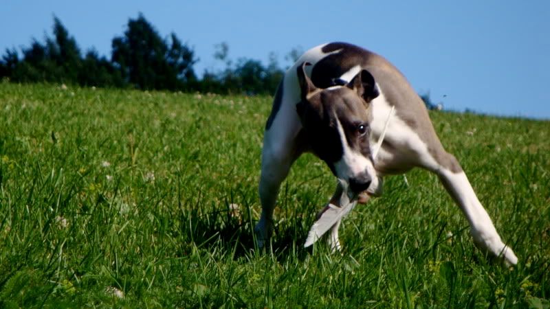 DSC08286.jpg