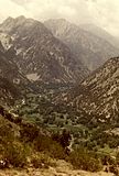 th_scan0039.jpg