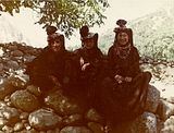 th_scan0041.jpg