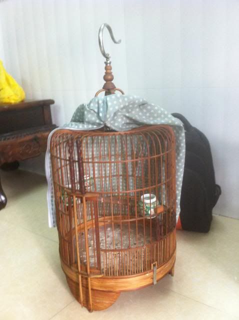 thanh lí chim họa mi , lửa, lồng, chạm lủng, cặp sóc lửa