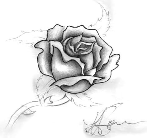 Roses Tattoos on Rose Tattoo Longing Image   Tattoo Heaven