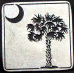 palmetto moon Pictures, Images and Photos