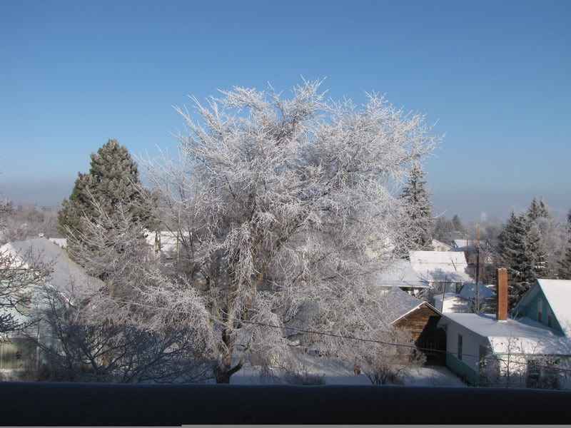 IMAGE: http://i38.photobucket.com/albums/e132/yellowgt02/001.jpg