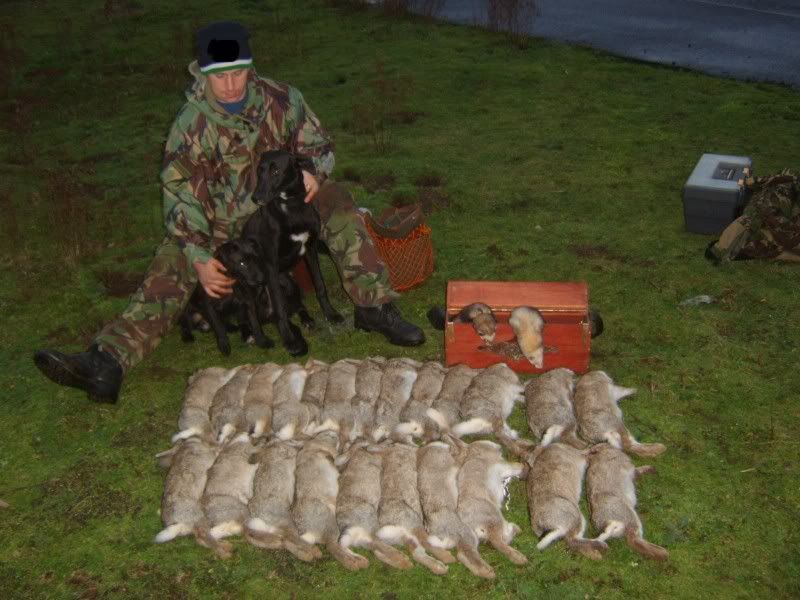 ferreting.jpg