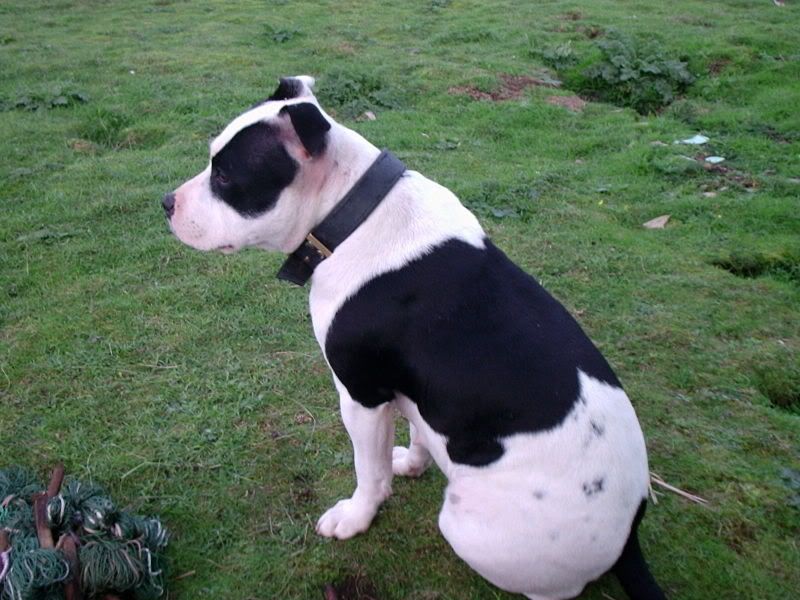 holly014.jpg