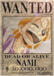 nami-wanted.gif Most Wanted: Nami image by ShadowBankotsu