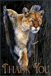 TYMountainLion-vi.gif