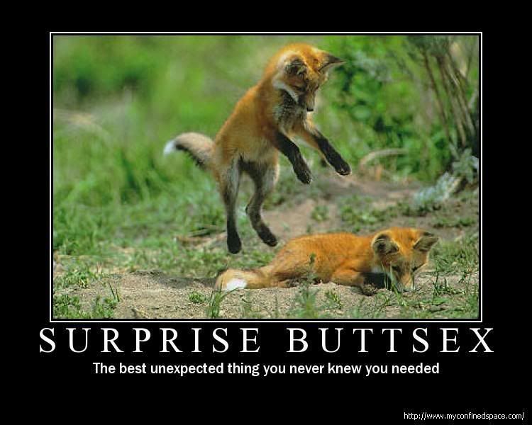 image: surprise-buttsex