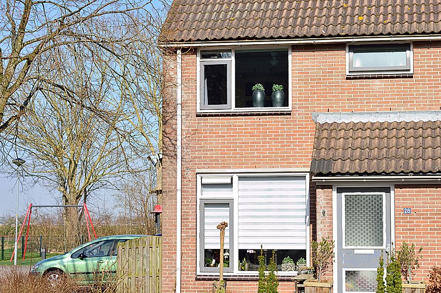 Fotografie