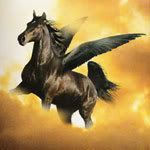 2919Pegasus.jpg Black Pegas image by micabelle