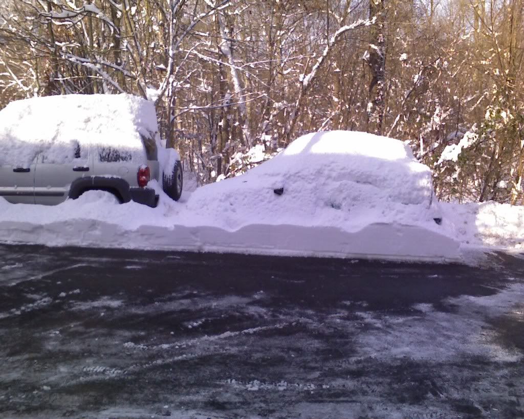 [Image: Photo_122009_001.jpg]