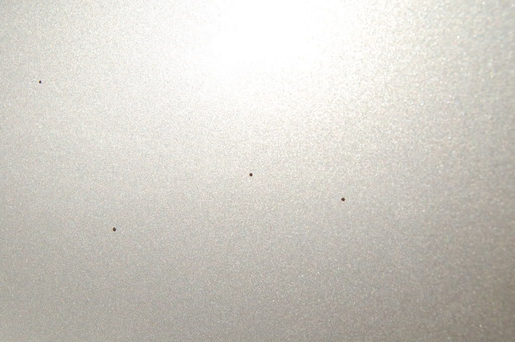 DSC_00122.jpg