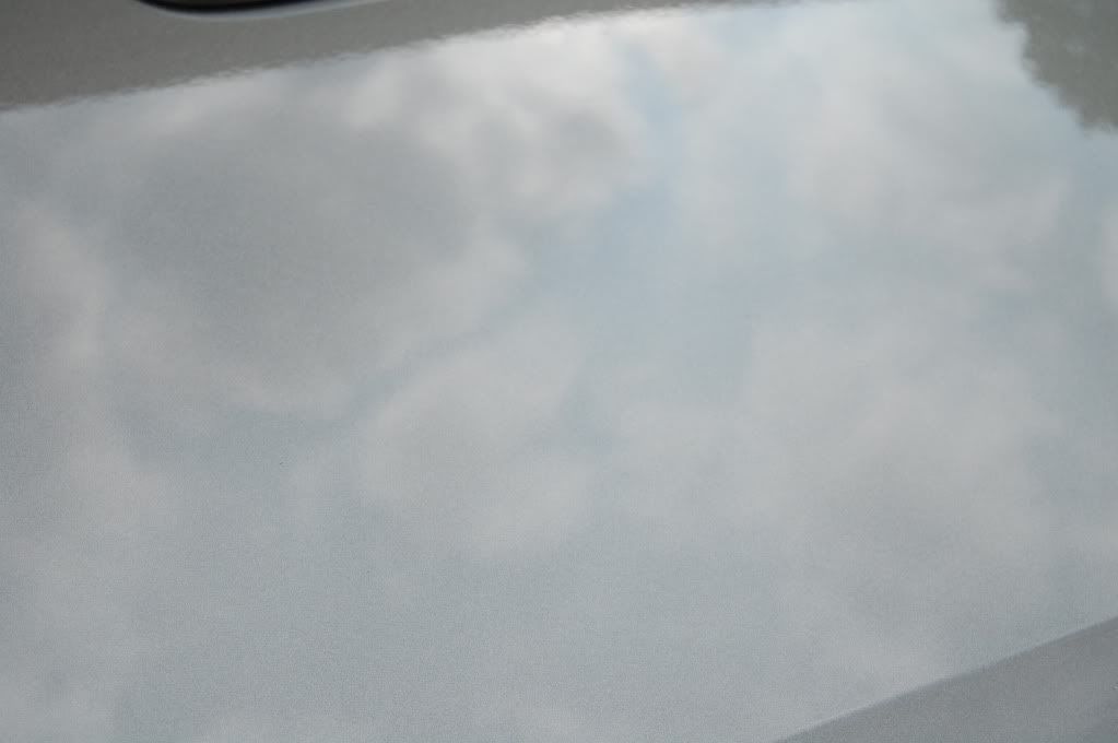 DSC_0516.jpg
