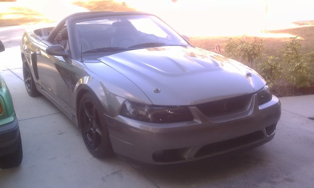 IMAG0142.jpg