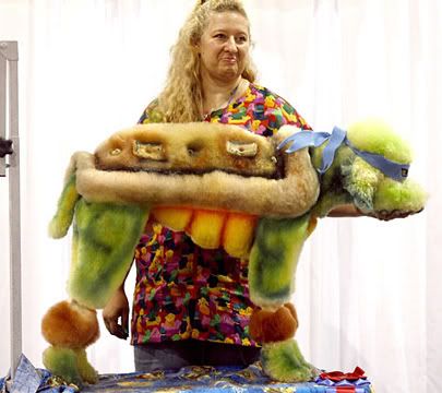 Teenage Mutant Ninja Turtle Leonardoodle
